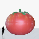 20 ft tomato inflatable to your specs
