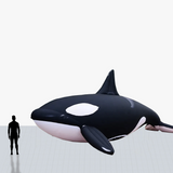 Custom 12 ft killerwhale inflatable mascot