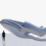 12 ft whale inflatables mascot personalized