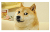 3×5 Doge Meme Stock Flag