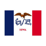 3×5 Iowa State Stock Flag
