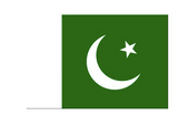 3×5 Palestine Stock Flag