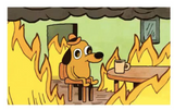 3×5 This Is Fine Meme Stock Flag