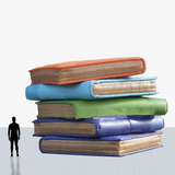 15 ft book inflatable to your specs